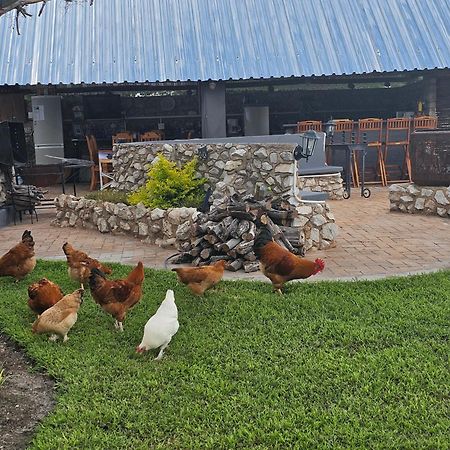 Tamboti Farm Accommodation Цумеб Екстер'єр фото