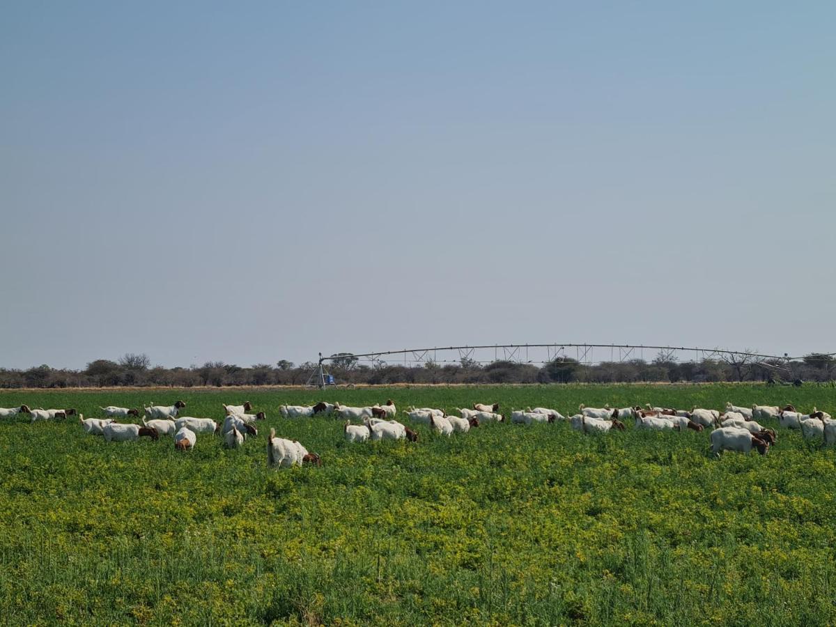 Tamboti Farm Accommodation Цумеб Екстер'єр фото