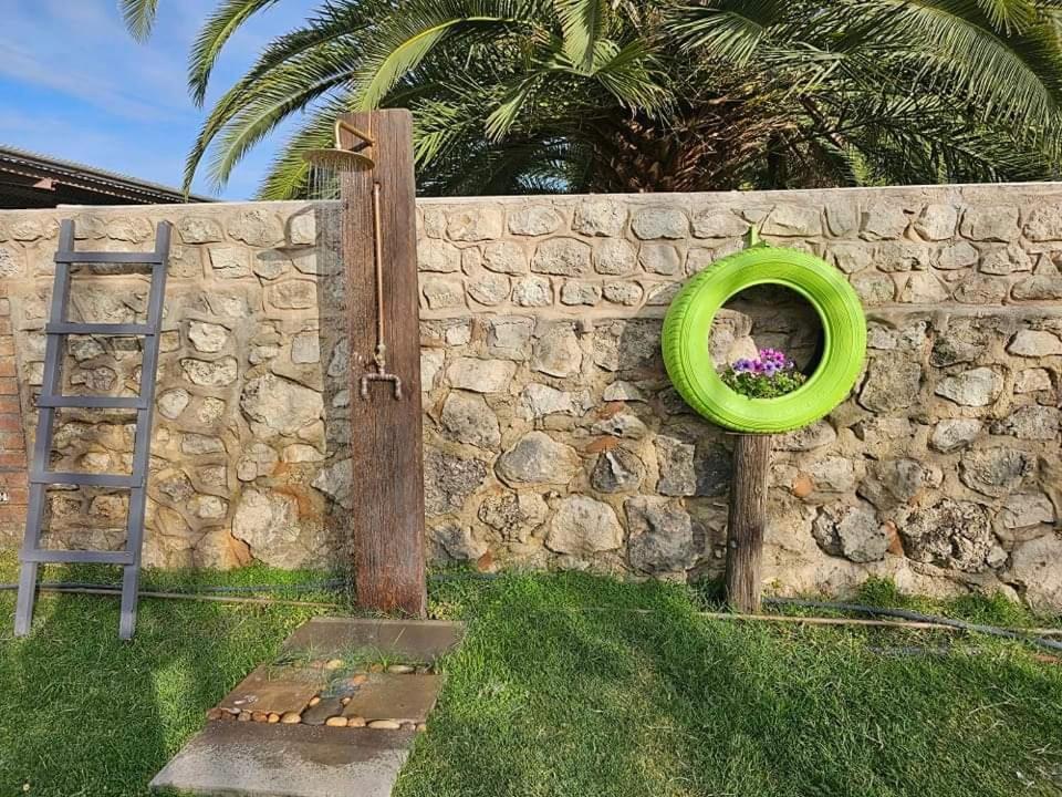 Tamboti Farm Accommodation Цумеб Екстер'єр фото