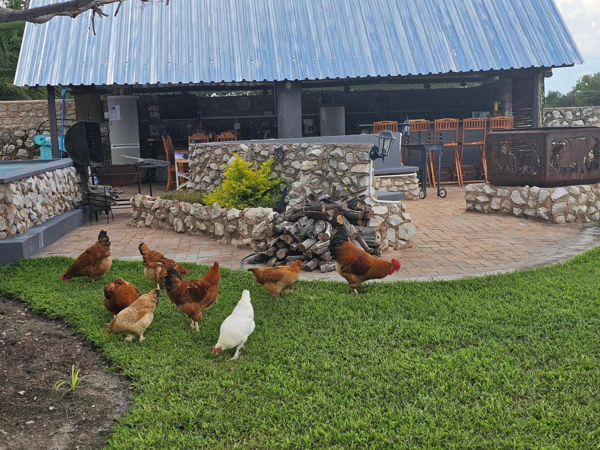 Tamboti Farm Accommodation Цумеб Екстер'єр фото